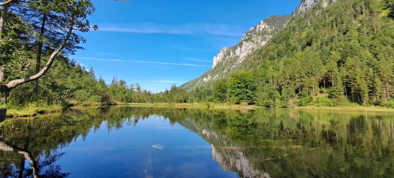 Apartamento Laerche 2 - Chiemgaukarte Inklusive- Inzell Exterior foto